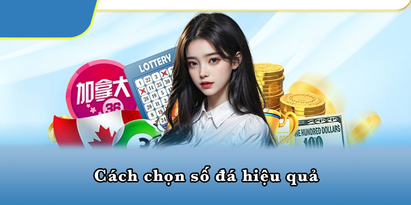 Cách chọn số đá hiệu quả