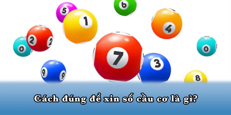 Cách đúng để xin số cầu cơ là gì?