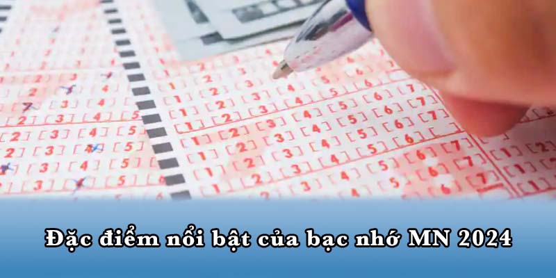 Đặc điểm nổi bật của bạc nhớ MN 2024