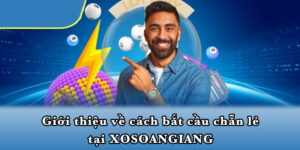 Giới thiệu về cách bắt cầu chẵn lẻ tại XOSOANGIANG