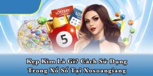 Kẹp kìm là gì? Cách sử dụng trong xổ số tại Xosoangiang