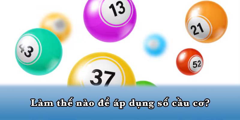 Làm thế nào để áp dụng số cầu cơ?