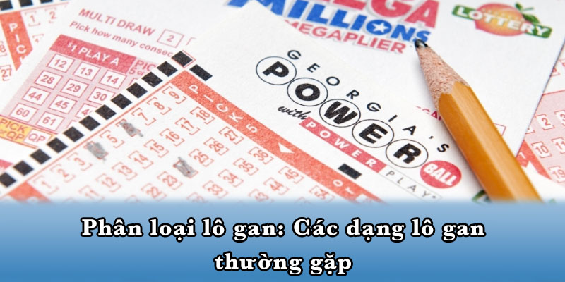 Phân loại lô gan: Các dạng lô gan thường gặp