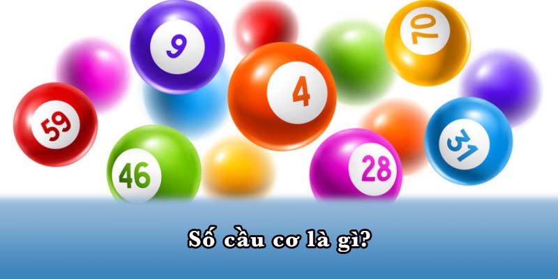 Số cầu cơ là gì?