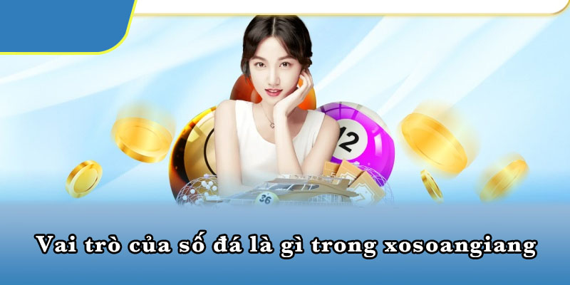 Vai trò của số đá là gì